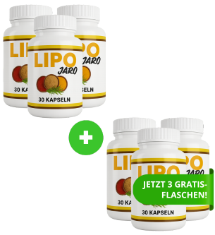 6 Dosen (3 gratis)